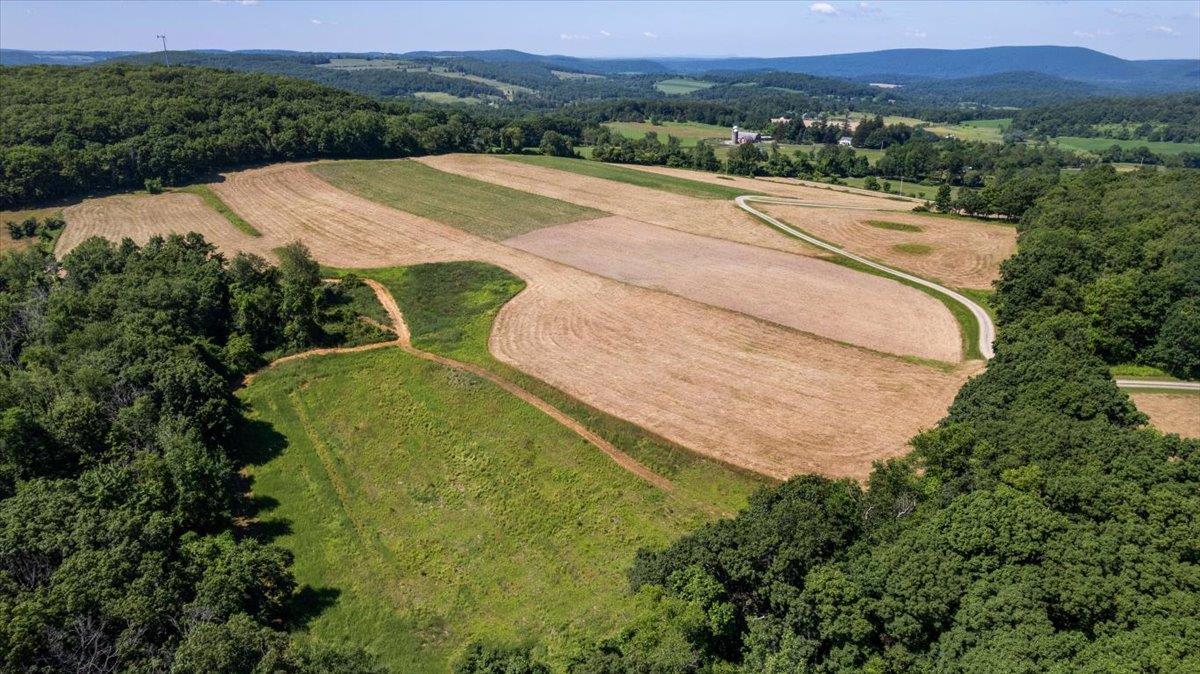 Single Family Prospect Hill Dutchess County, NY 12567, MLS-882588-47