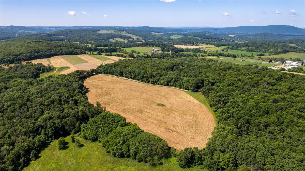 Single Family Prospect Hill Dutchess County, NY 12567, MLS-882588-48