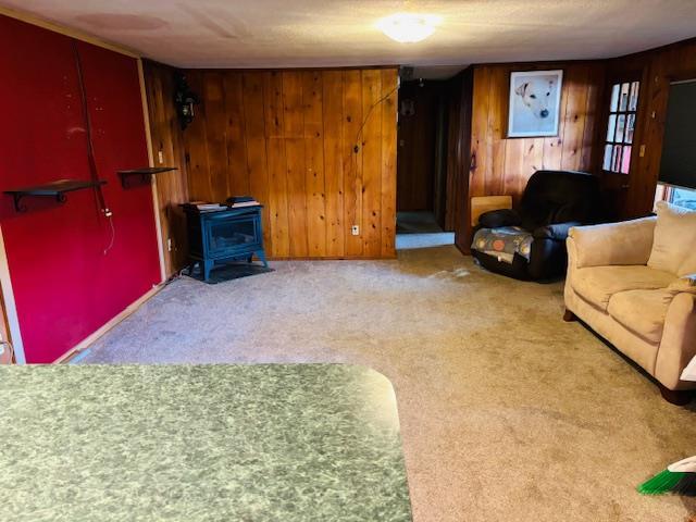 Single Family Lake Shore  Columbia County, NY 12503, MLS-882709-4
