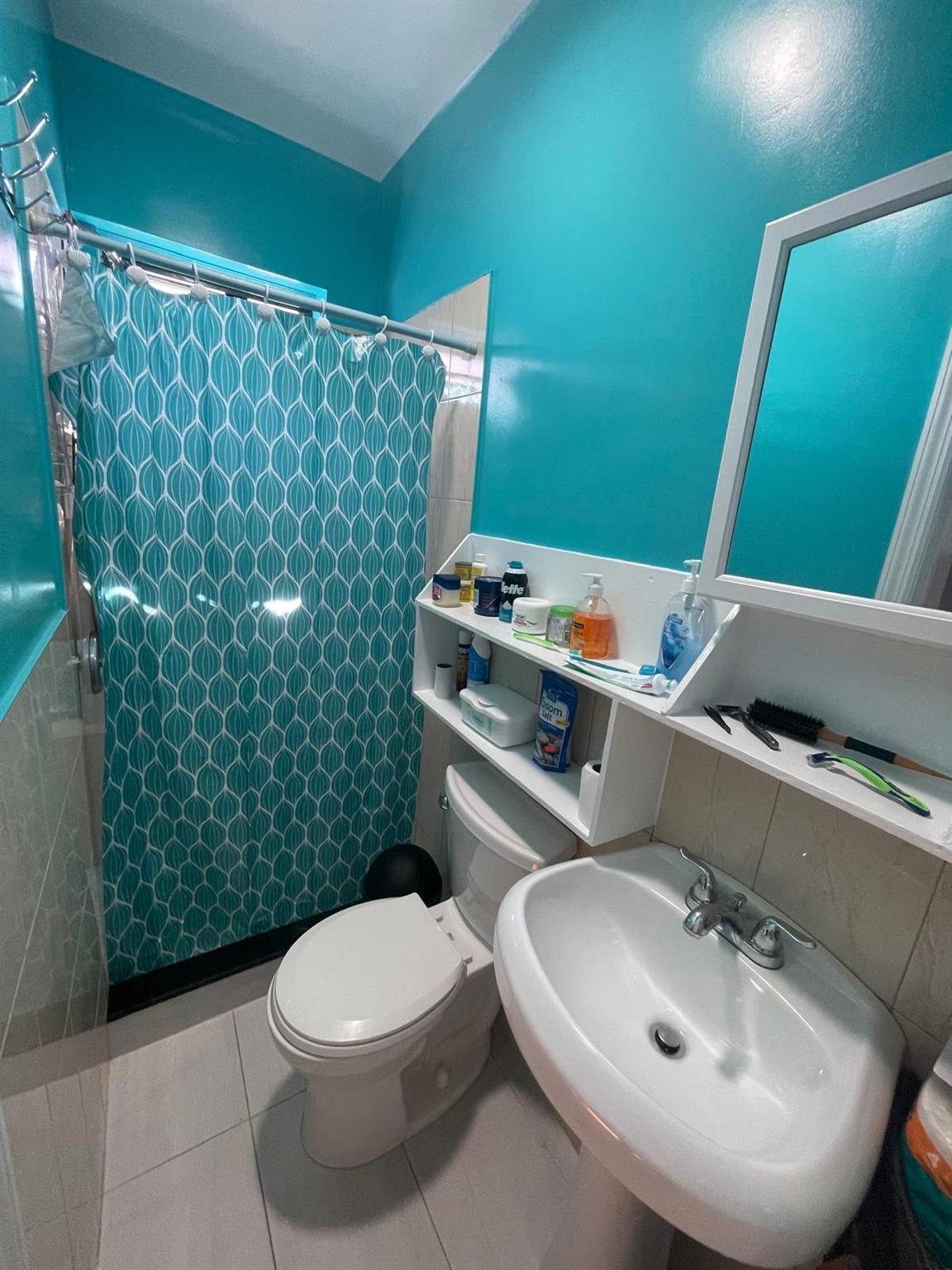 Single Family 100th Queens, NY 11368, MLS-882714-14