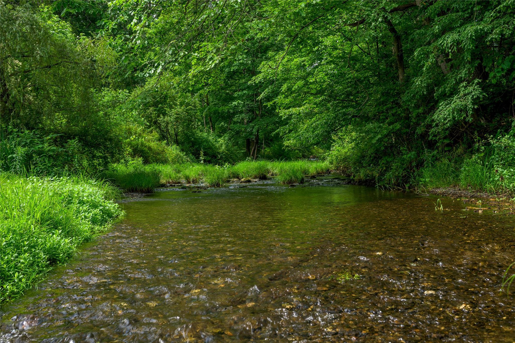 Single Family Route 22  Columbia County, NY 12529, MLS-882928-38