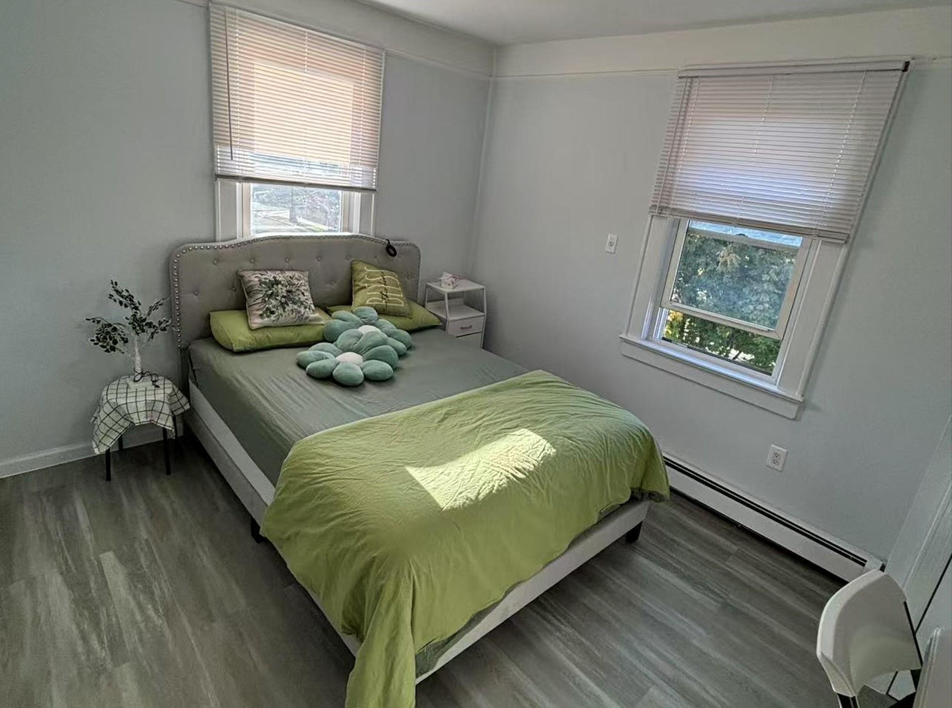 Single Family Negundo  Queens, NY 11355, MLS-882933-6