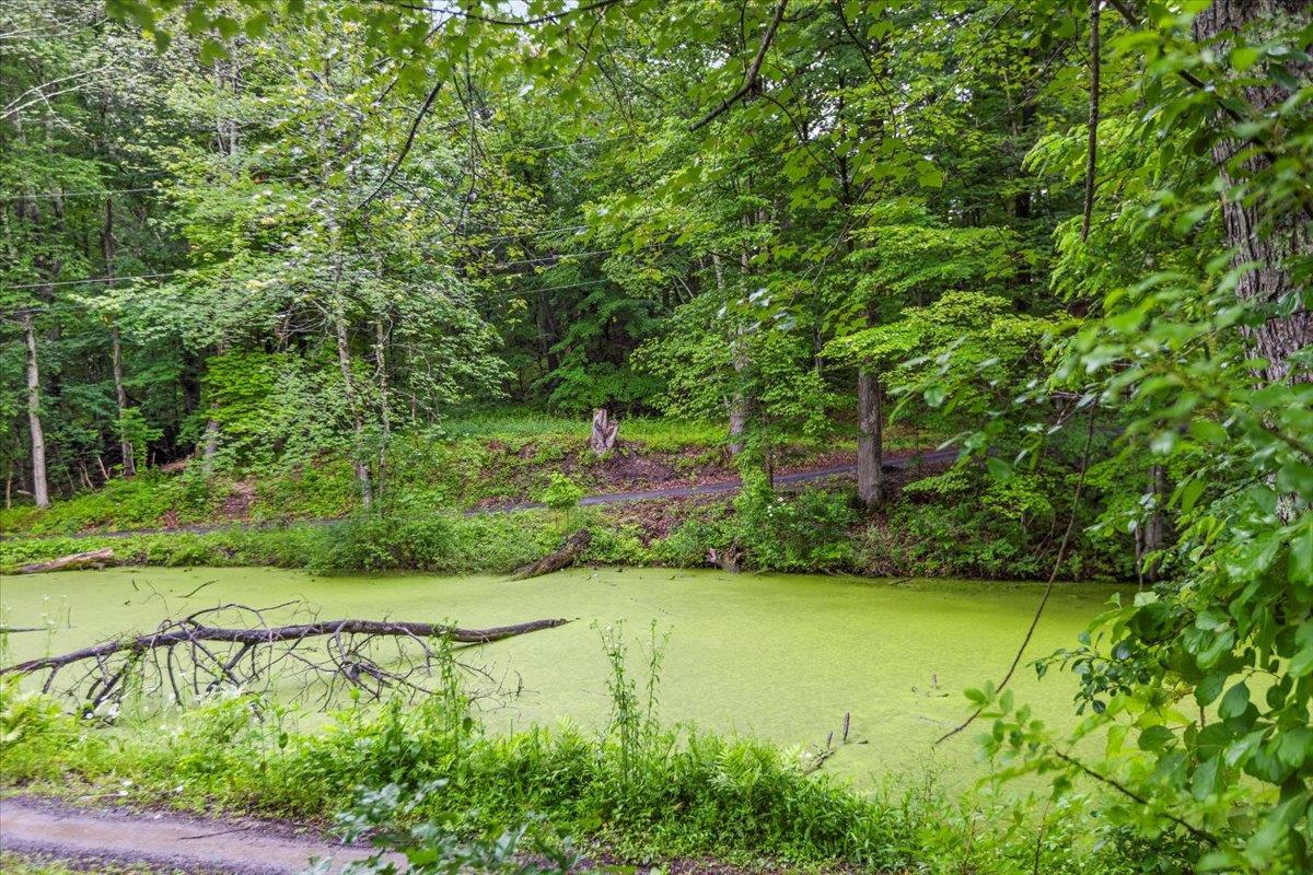 Single Family Travis Blvd  Greene County, NY 12414, MLS-882980-27