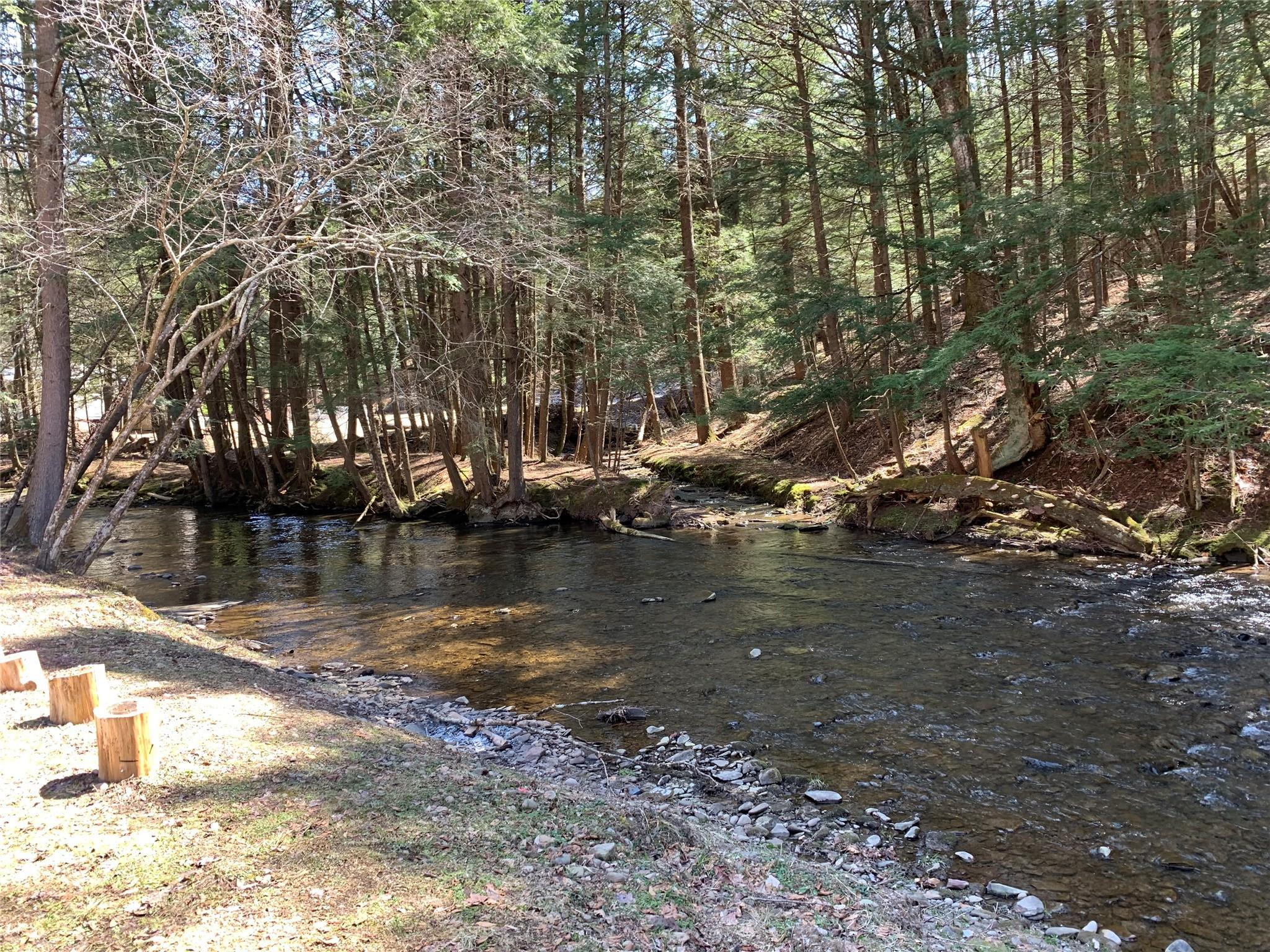 Single Family Basket  Sullivan County, NY 12760, MLS-883208-2