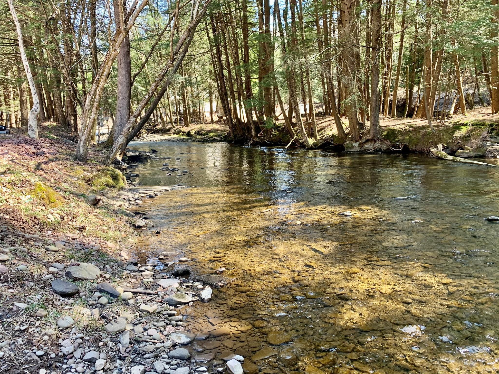 Single Family Basket  Sullivan County, NY 12760, MLS-883208-4