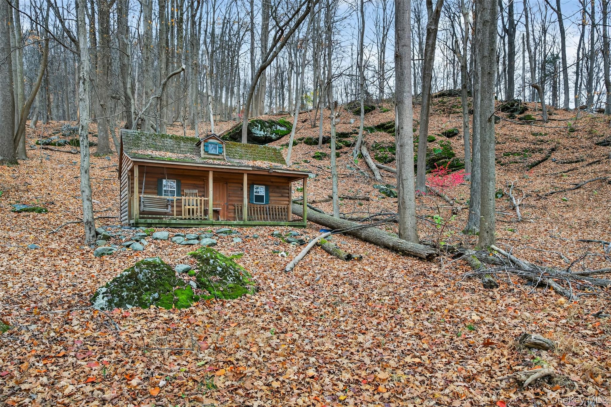 Single Family Peddler Hill Orange County, NY 10950, MLS-883220-25