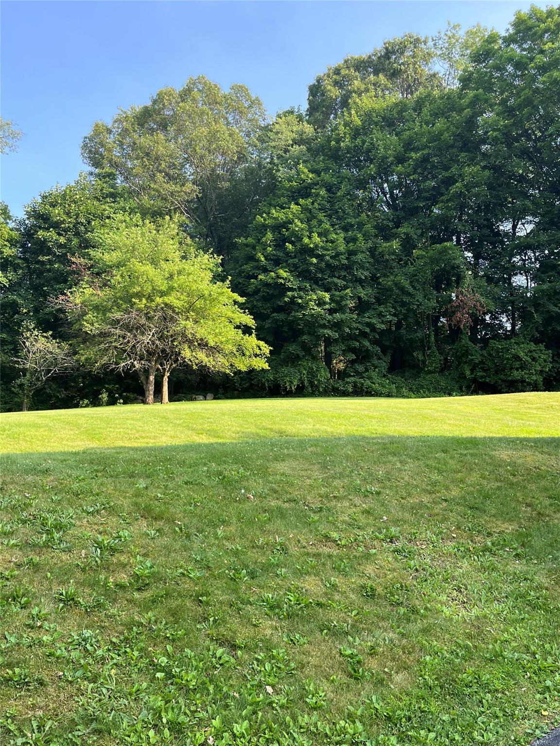 Single Family Crescent  Westchester County, NY 10567, MLS-883283-4