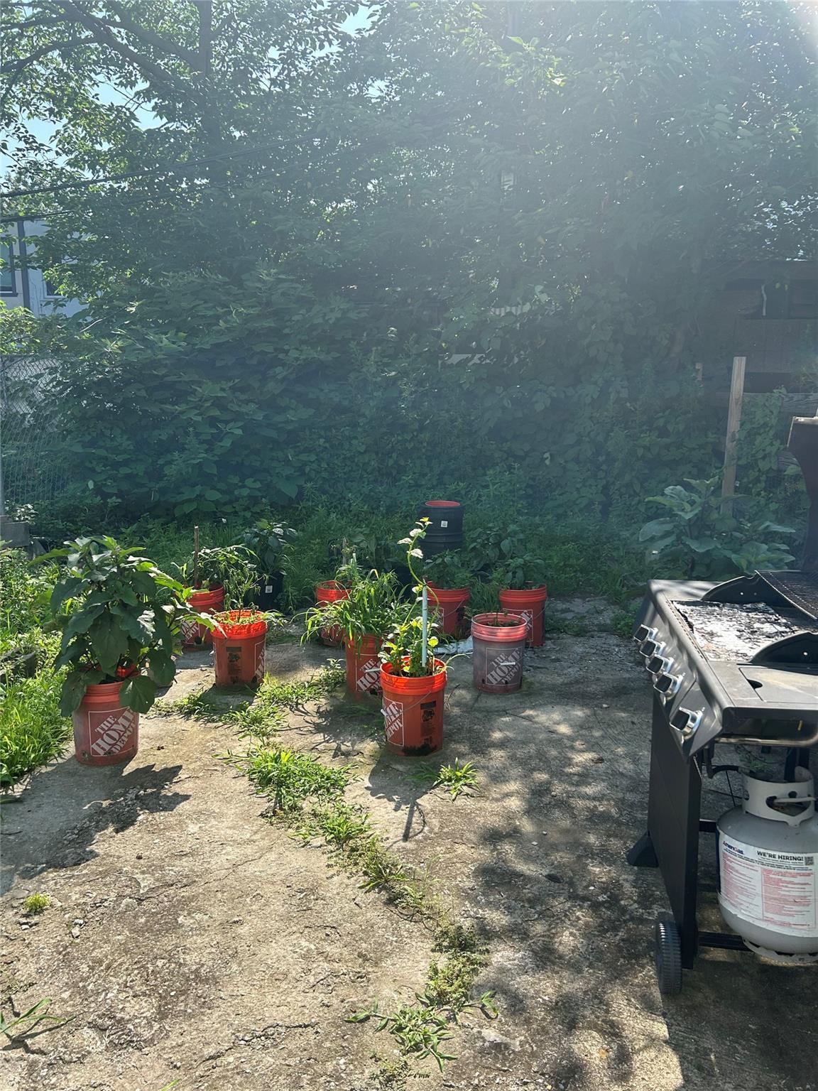 Single Family Chestnut  Brooklyn, NY 11208, MLS-883513-3