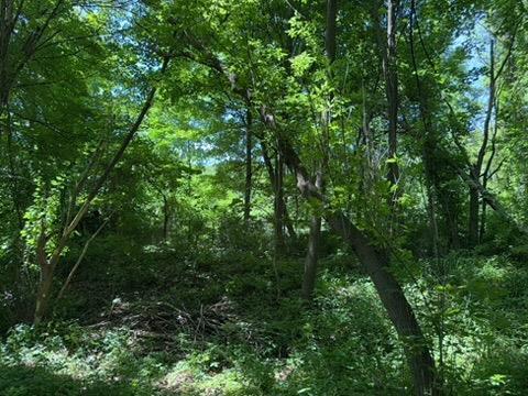 Single Family Beilke  Dutchess County, NY 12546, MLS-883614-20