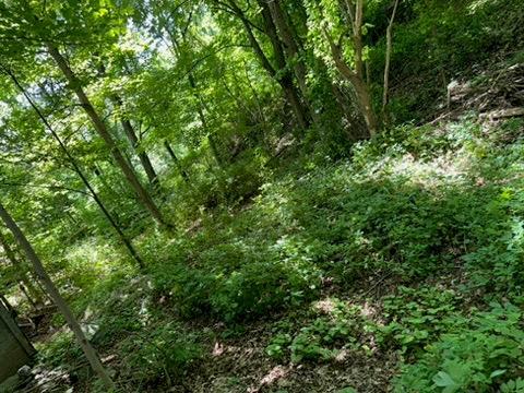 Single Family Beilke  Dutchess County, NY 12546, MLS-883614-21