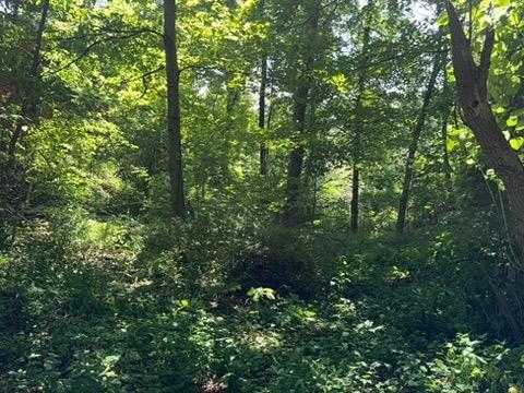 Single Family Beilke  Dutchess County, NY 12546, MLS-883614-23
