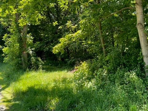 Single Family Beilke  Dutchess County, NY 12546, MLS-883614-28