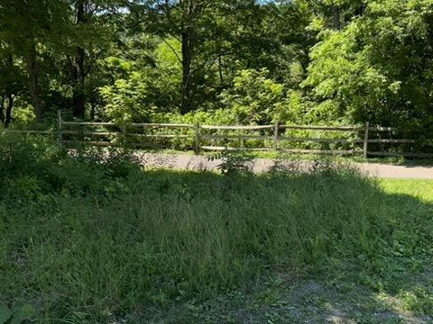 Single Family Beilke  Dutchess County, NY 12546, MLS-883614-29