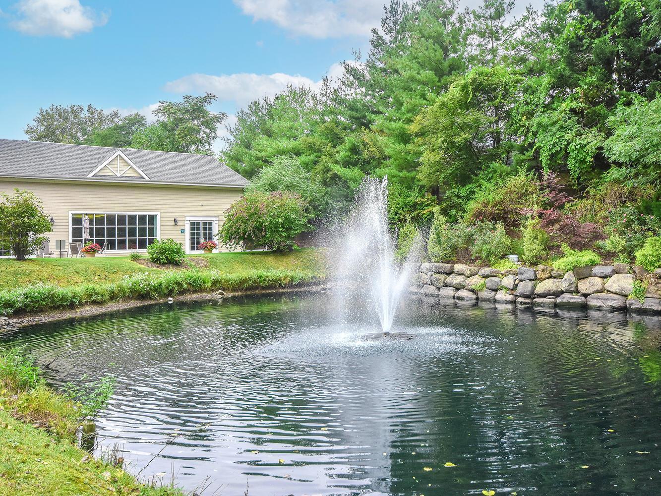 Condo Pond View  Nassau County, NY 11050, MLS-883651-33