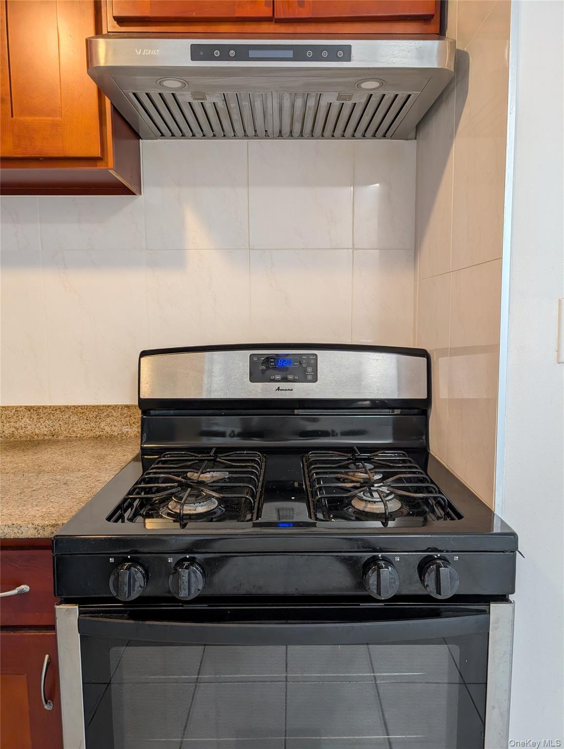 Condo 158th  Queens, NY 11358, MLS-883812-4