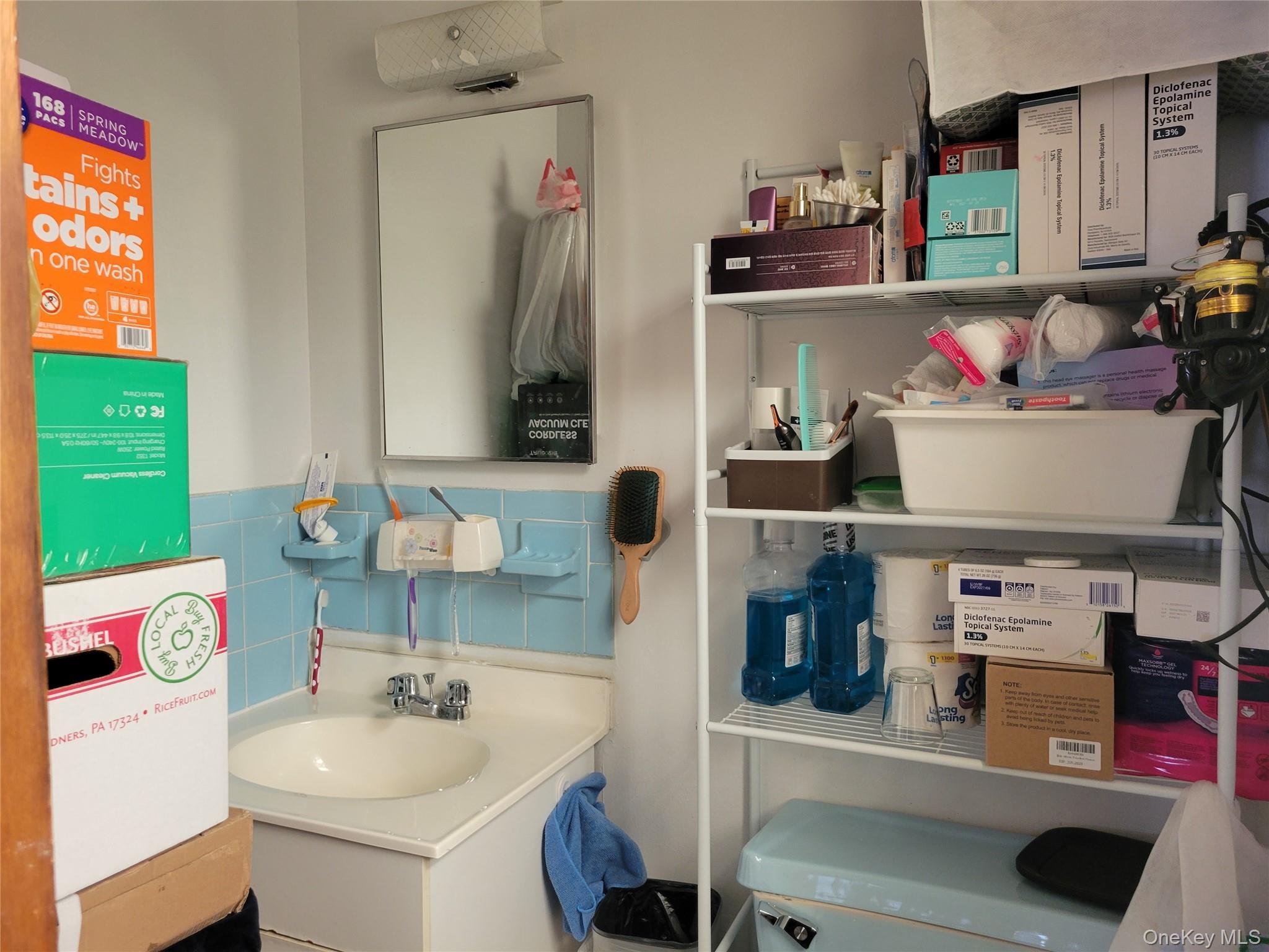 Single Family Kneeland  Queens, NY 11373, MLS-883900-11