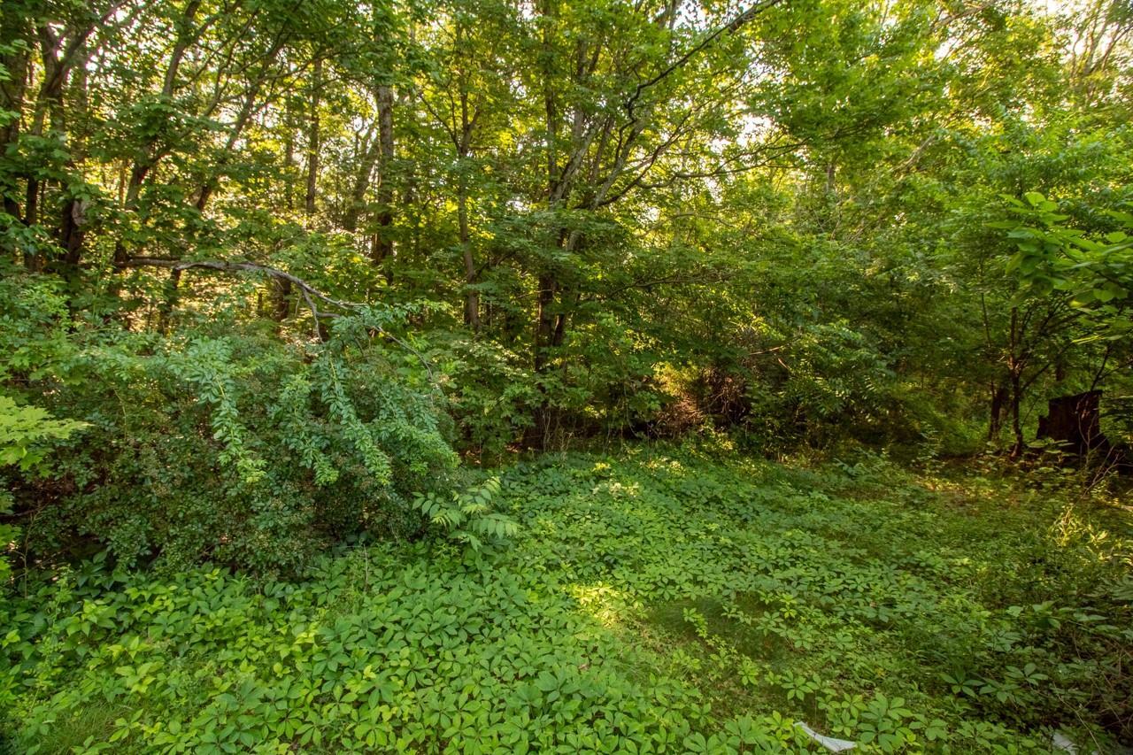 Single Family Lena  Ulster County, NY 12475, MLS-883904-7