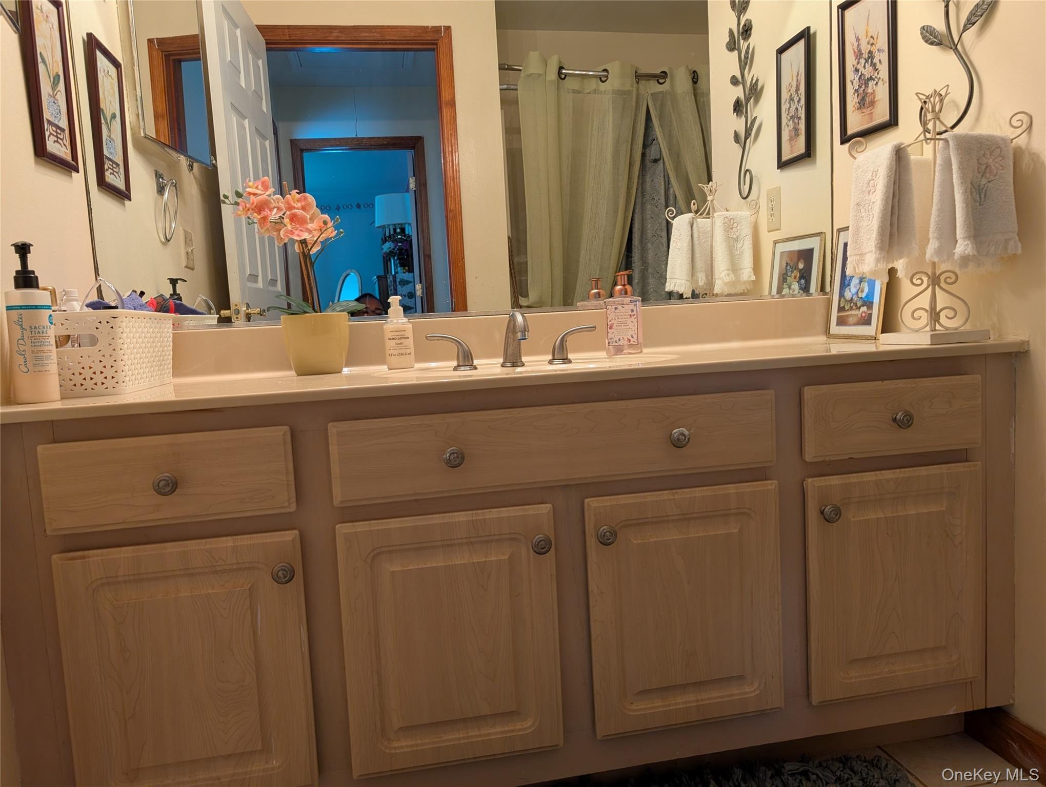 Single Family Melissa  Orange County, NY 10992, MLS-883944-23