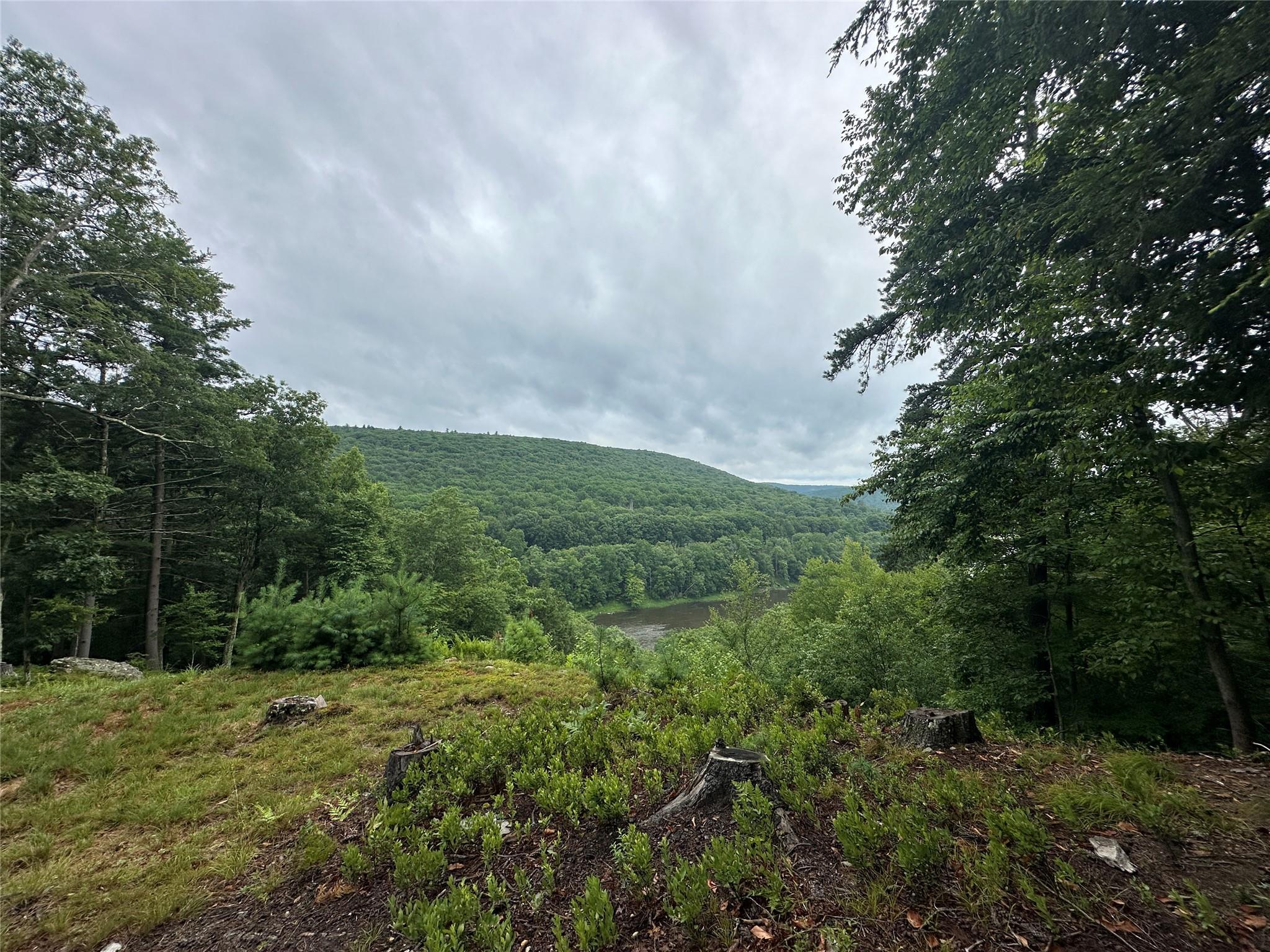 Single Family State Route 97  Sullivan County, NY 12770, MLS-884036-15