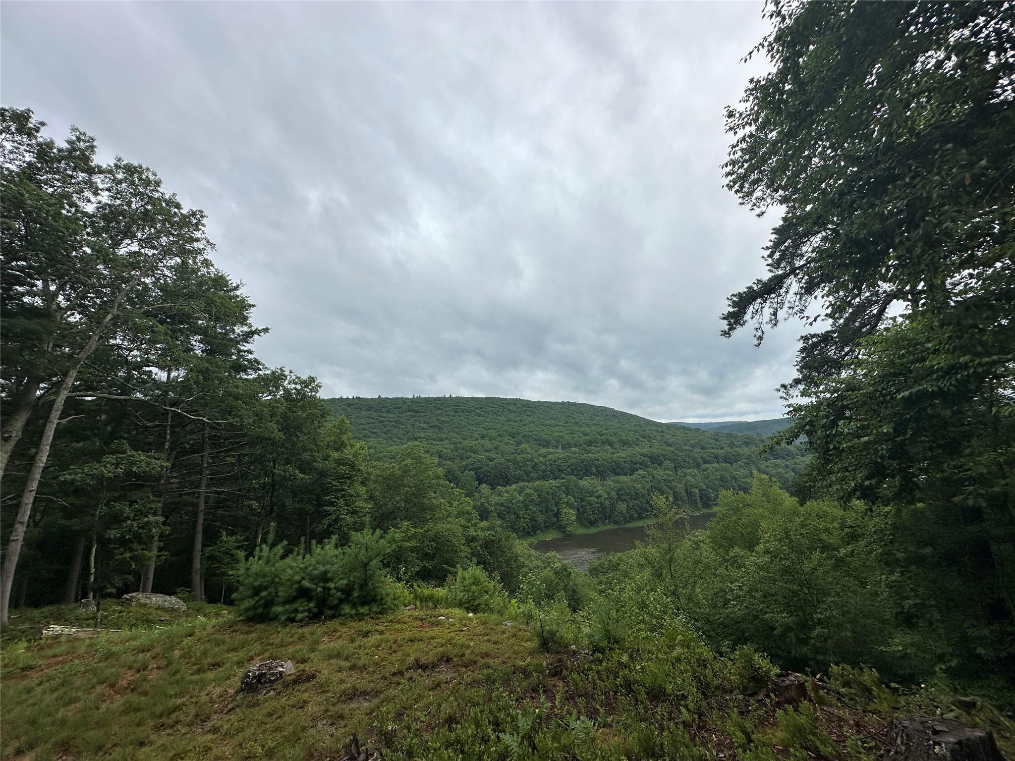 Single Family State Route 97  Sullivan County, NY 12770, MLS-884036-16