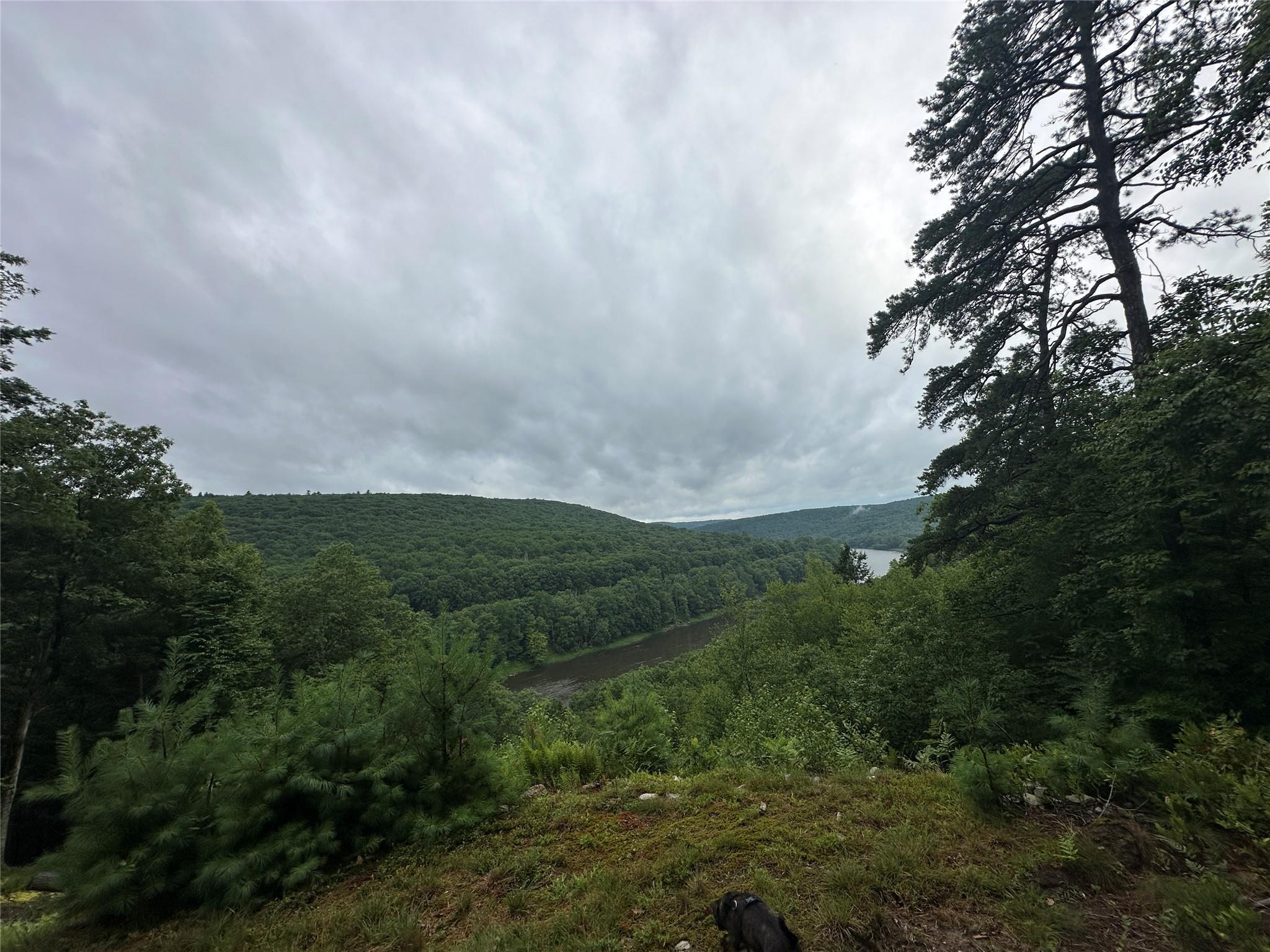 Single Family State Route 97  Sullivan County, NY 12770, MLS-884036-17