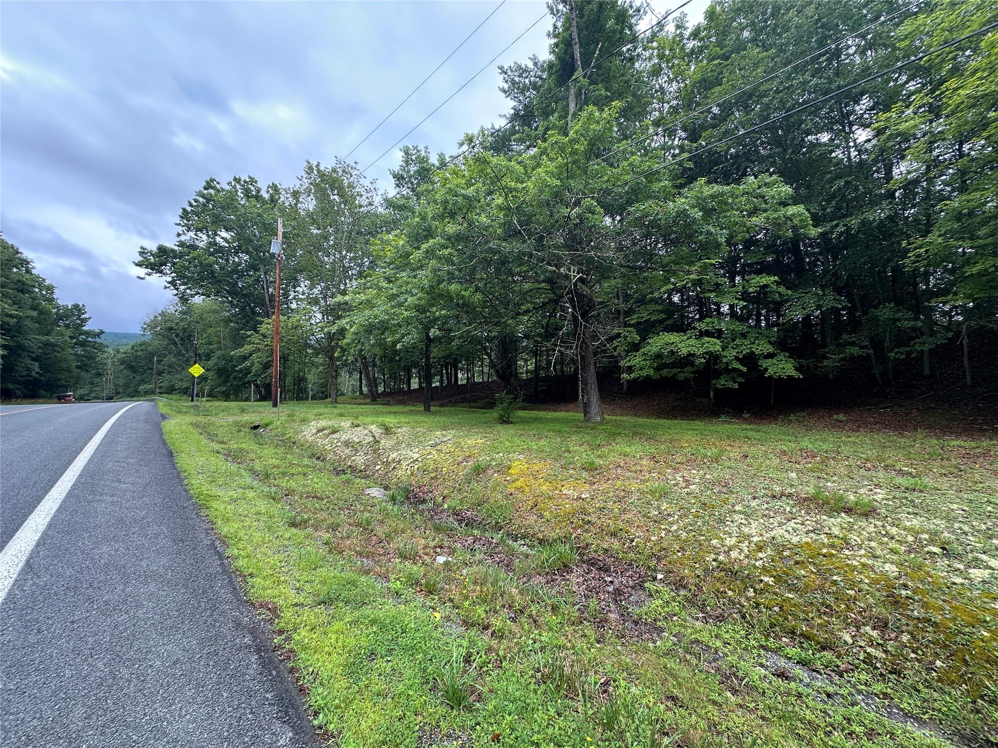 Single Family State Route 97  Sullivan County, NY 12770, MLS-884036-2