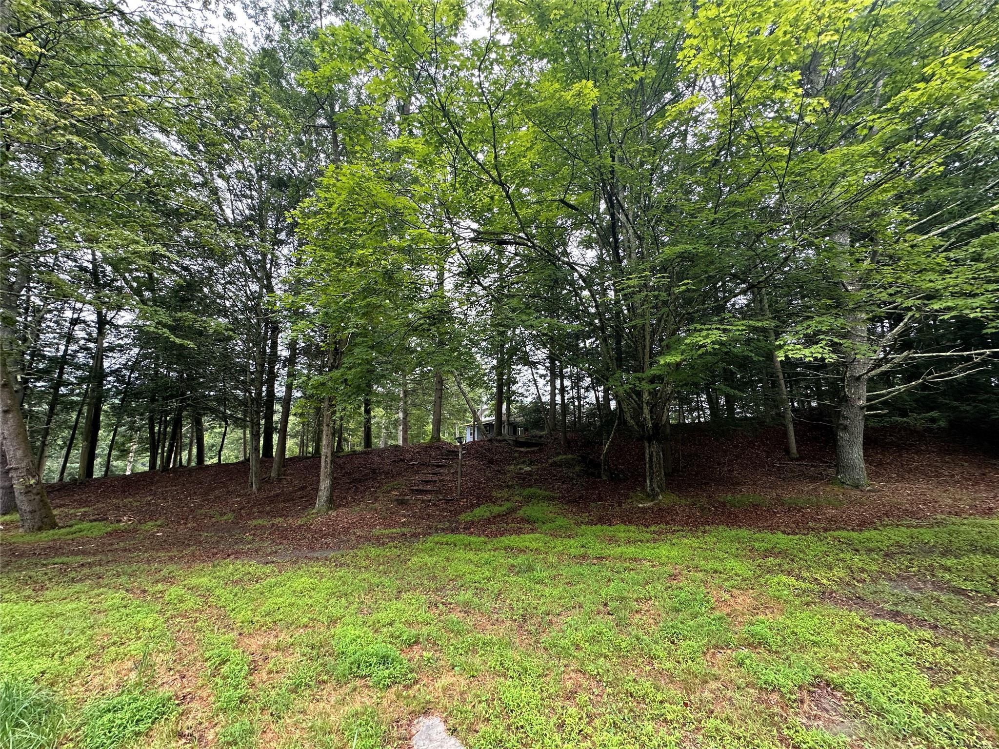 Single Family State Route 97  Sullivan County, NY 12770, MLS-884036-3