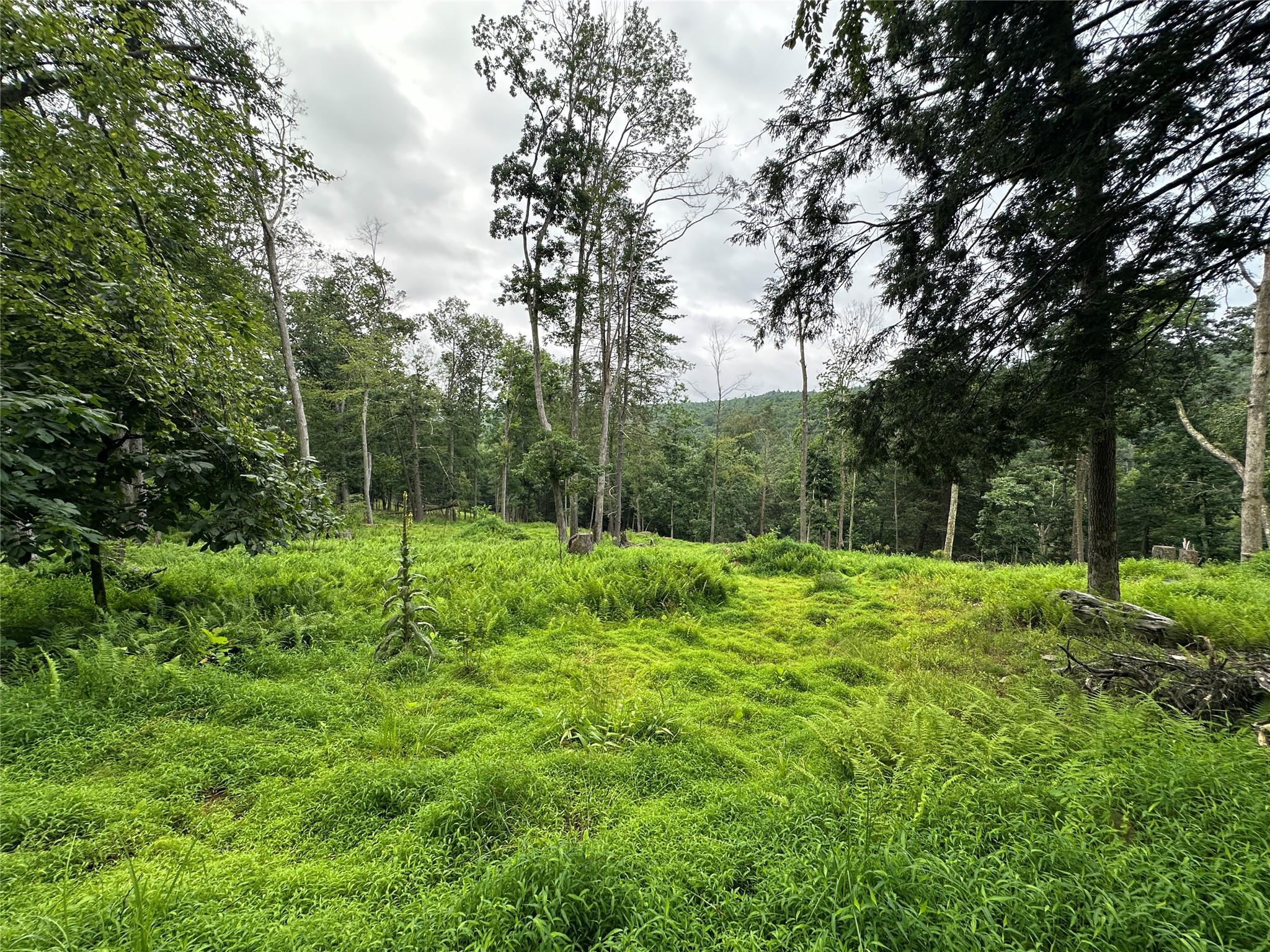 Single Family State Route 97  Sullivan County, NY 12770, MLS-884036-35