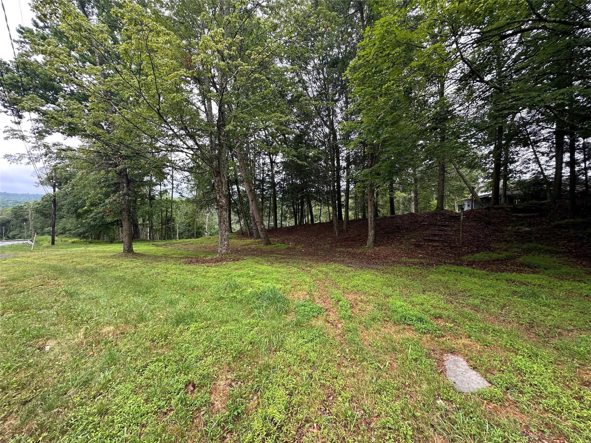 Single Family State Route 97  Sullivan County, NY 12770, MLS-884036-4
