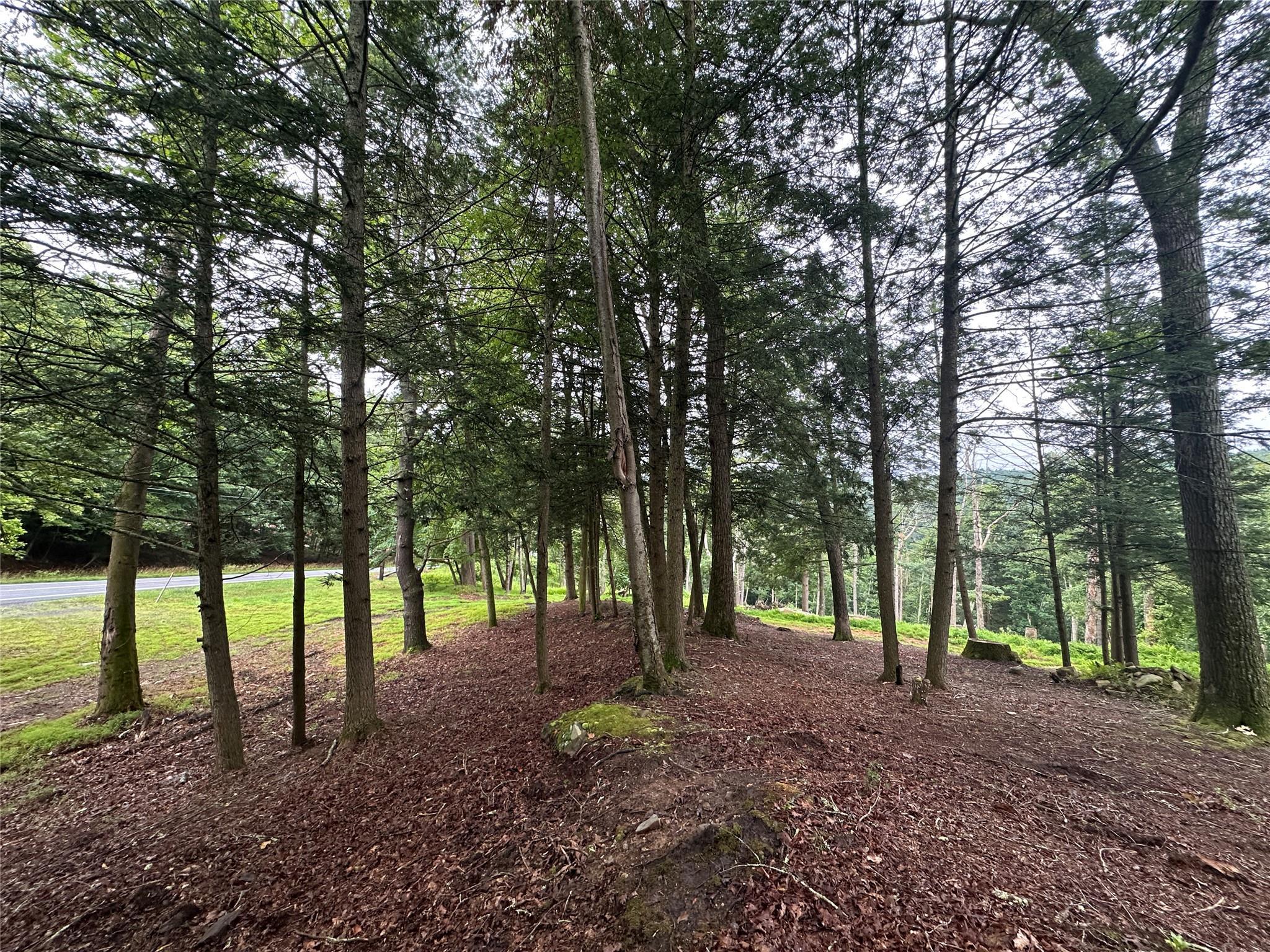 Single Family State Route 97  Sullivan County, NY 12770, MLS-884036-6