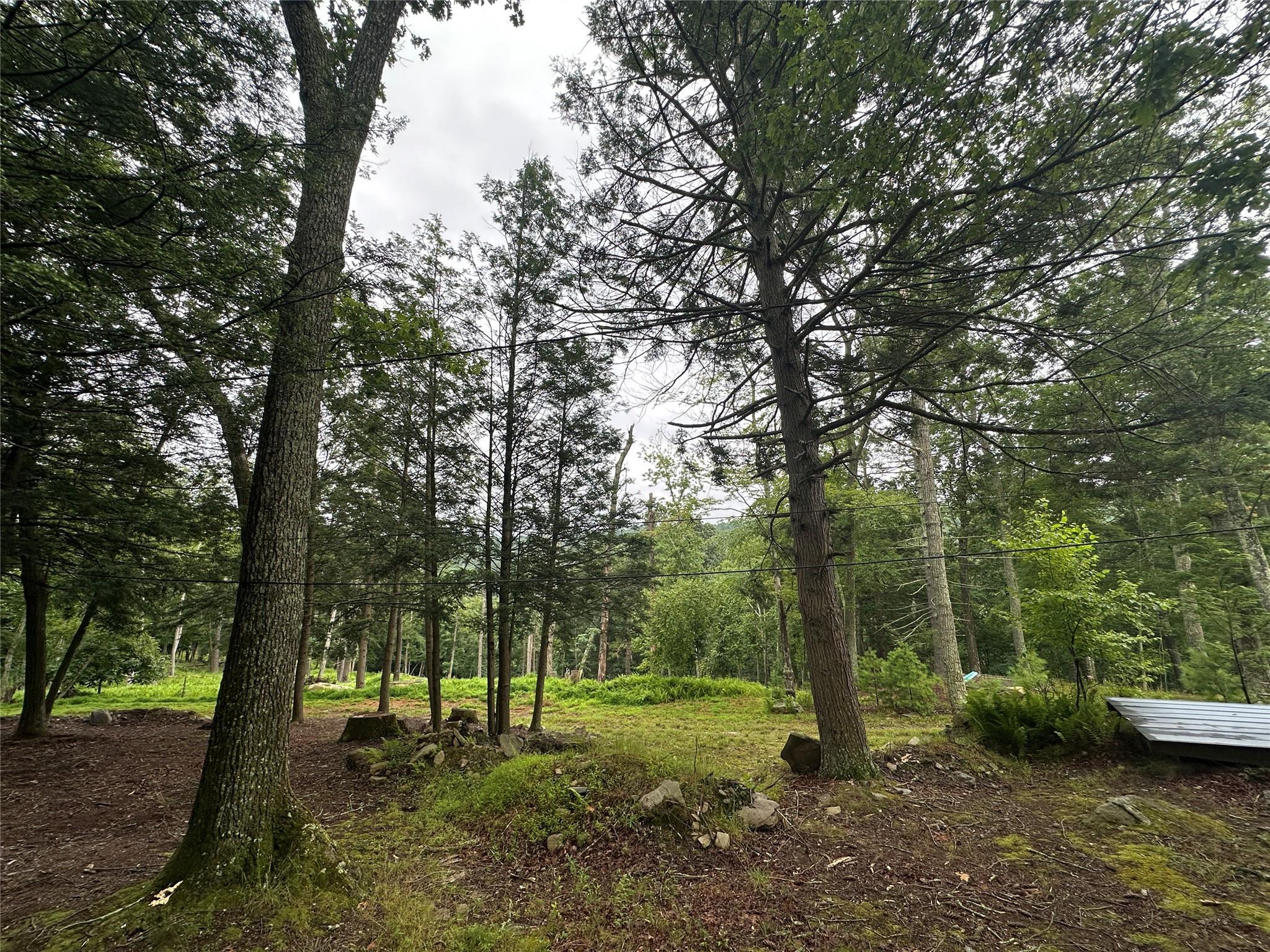 Single Family State Route 97  Sullivan County, NY 12770, MLS-884036-7