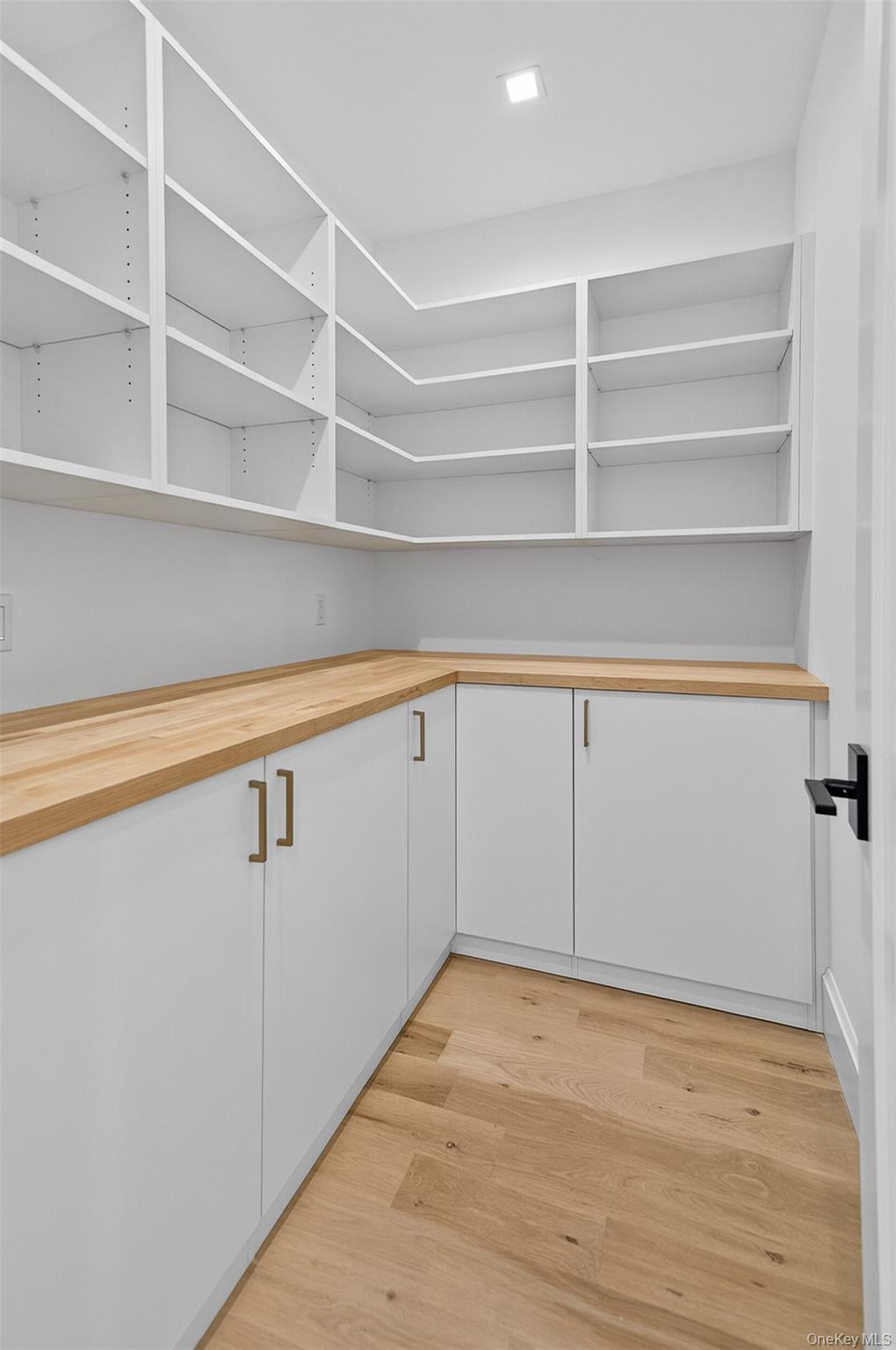 Single Family Pine Nassau County, NY 11791, MLS-884158-21