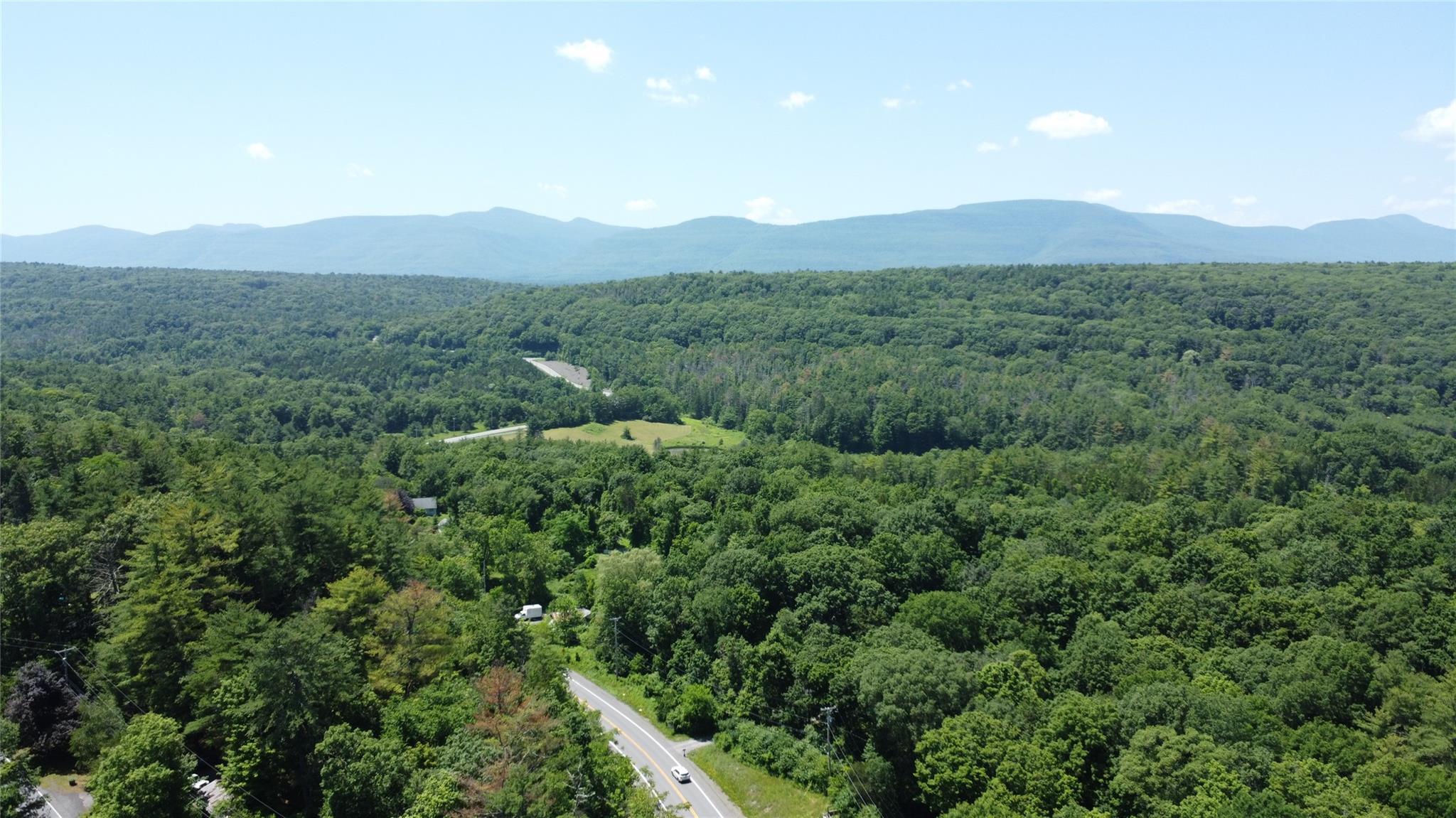 Single Family Will Palmer  Greene County, NY 12414, MLS-884192-4
