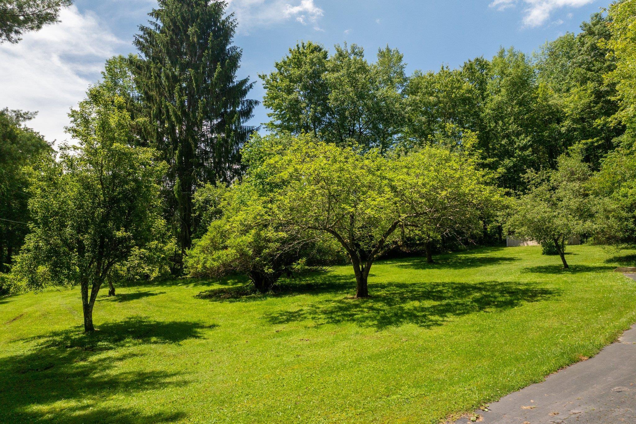 Single Family 10  Hoffman Road  Sullivan County, NY 12736, MLS-884242-28