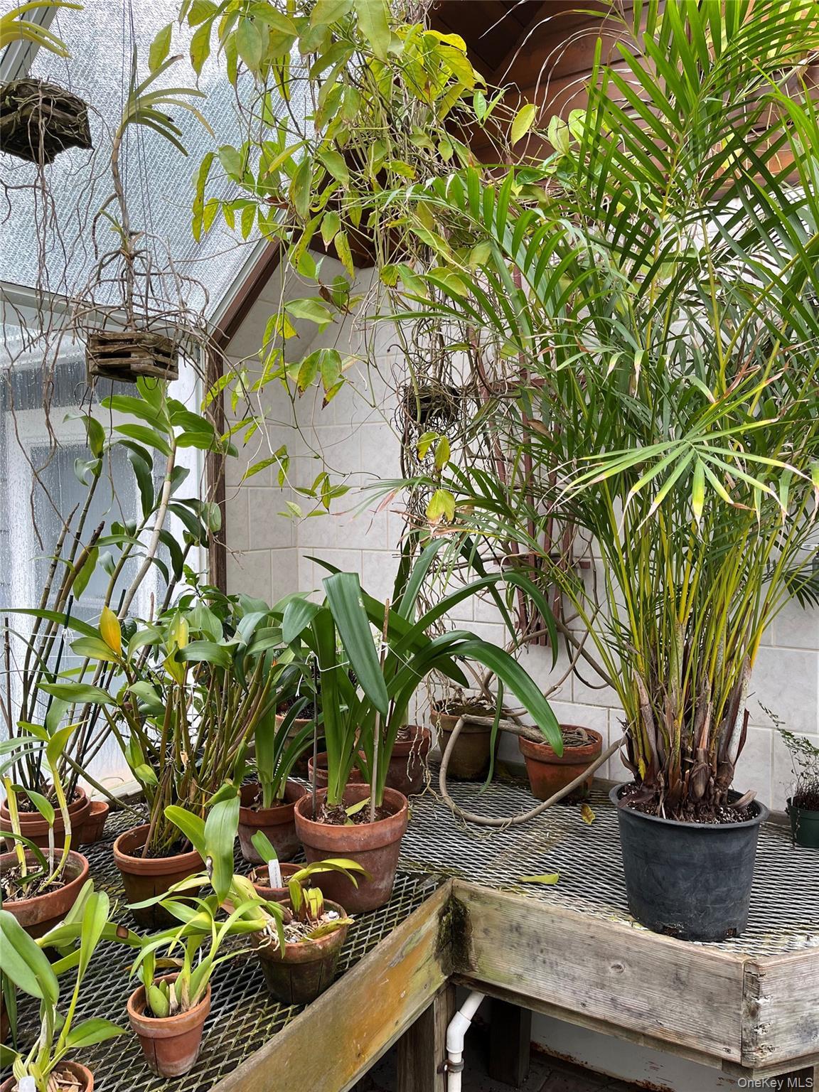 Single Family Walnut  Nassau County, NY 11563, MLS-884324-33