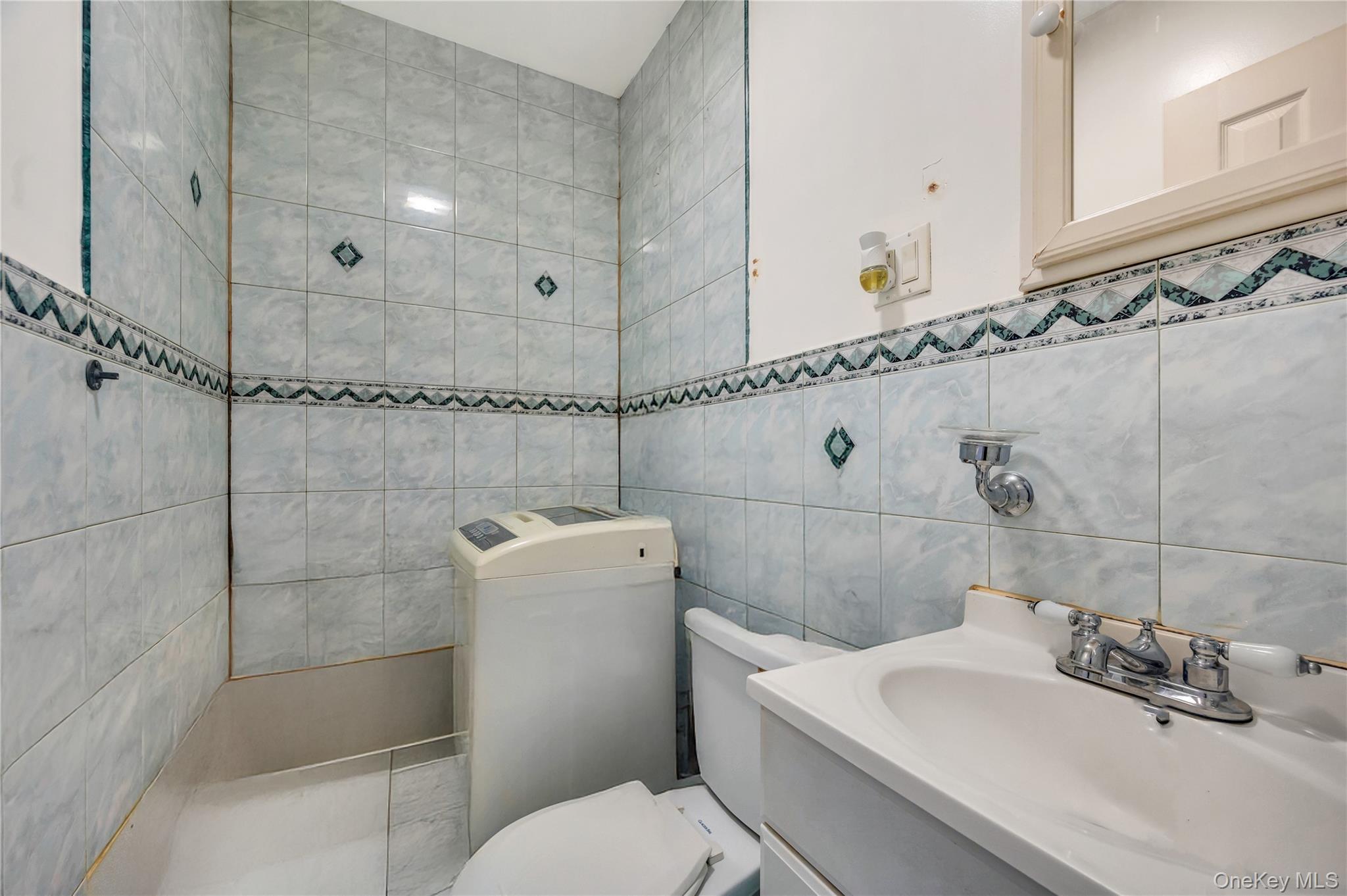 Single Family Pine  Brooklyn, NY 11208, MLS-884365-15