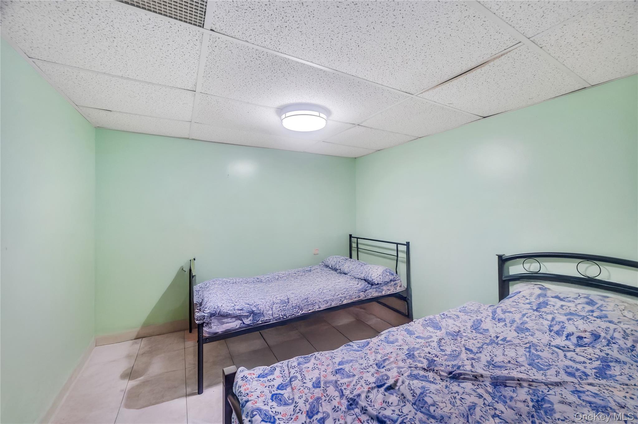 Single Family Pine  Brooklyn, NY 11208, MLS-884365-19