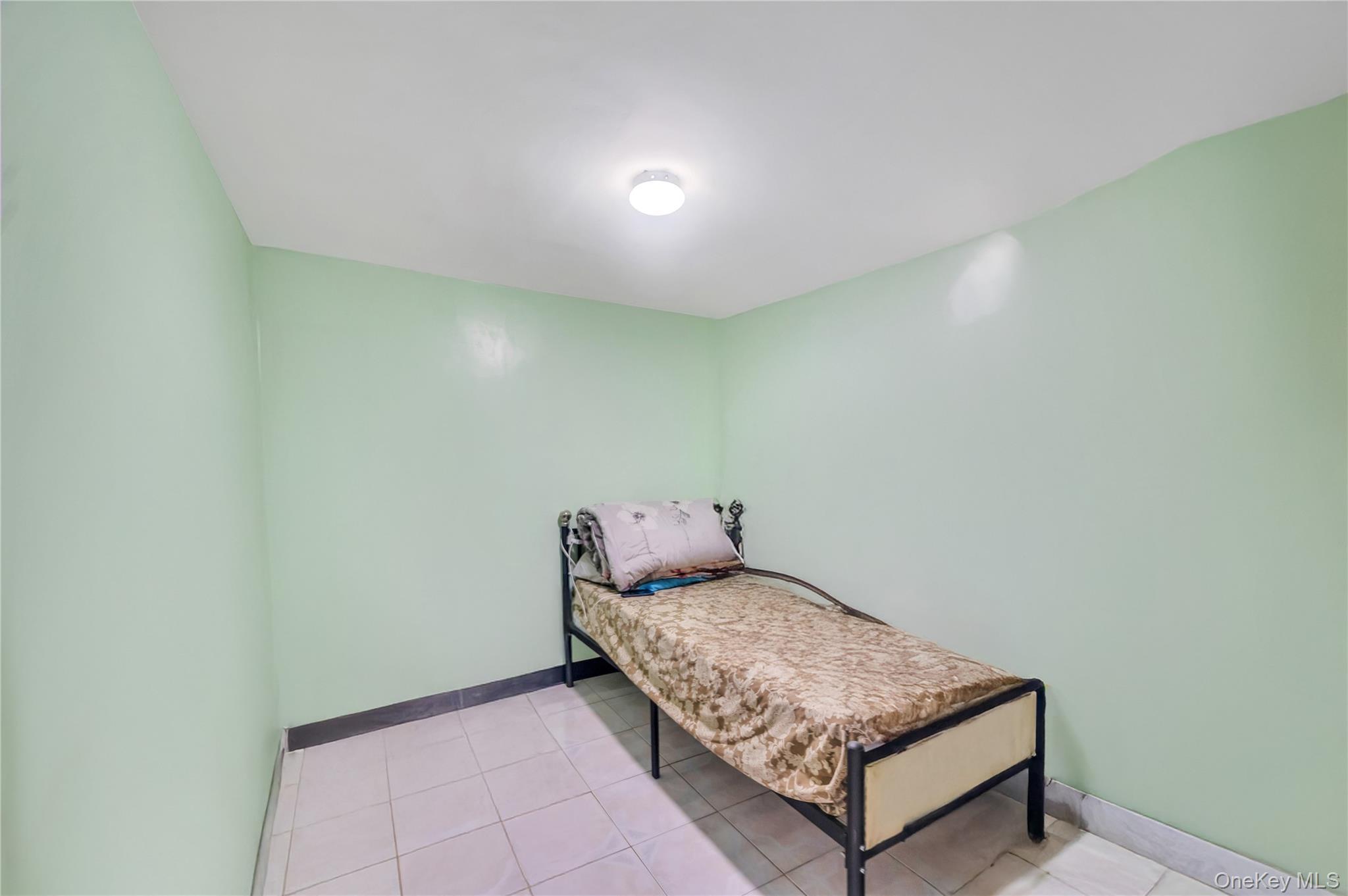 Single Family Pine  Brooklyn, NY 11208, MLS-884365-20