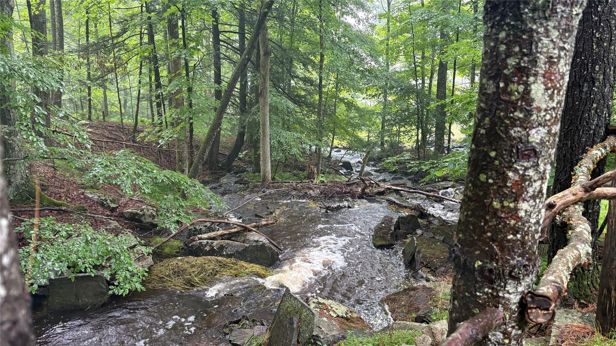 Single Family Airport  Sullivan County, NY 12732, MLS-884428-12