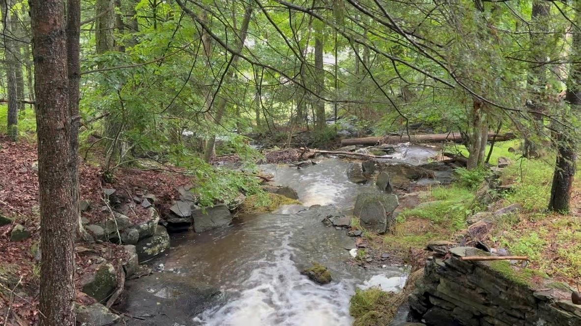 Single Family Airport  Sullivan County, NY 12732, MLS-884428-13