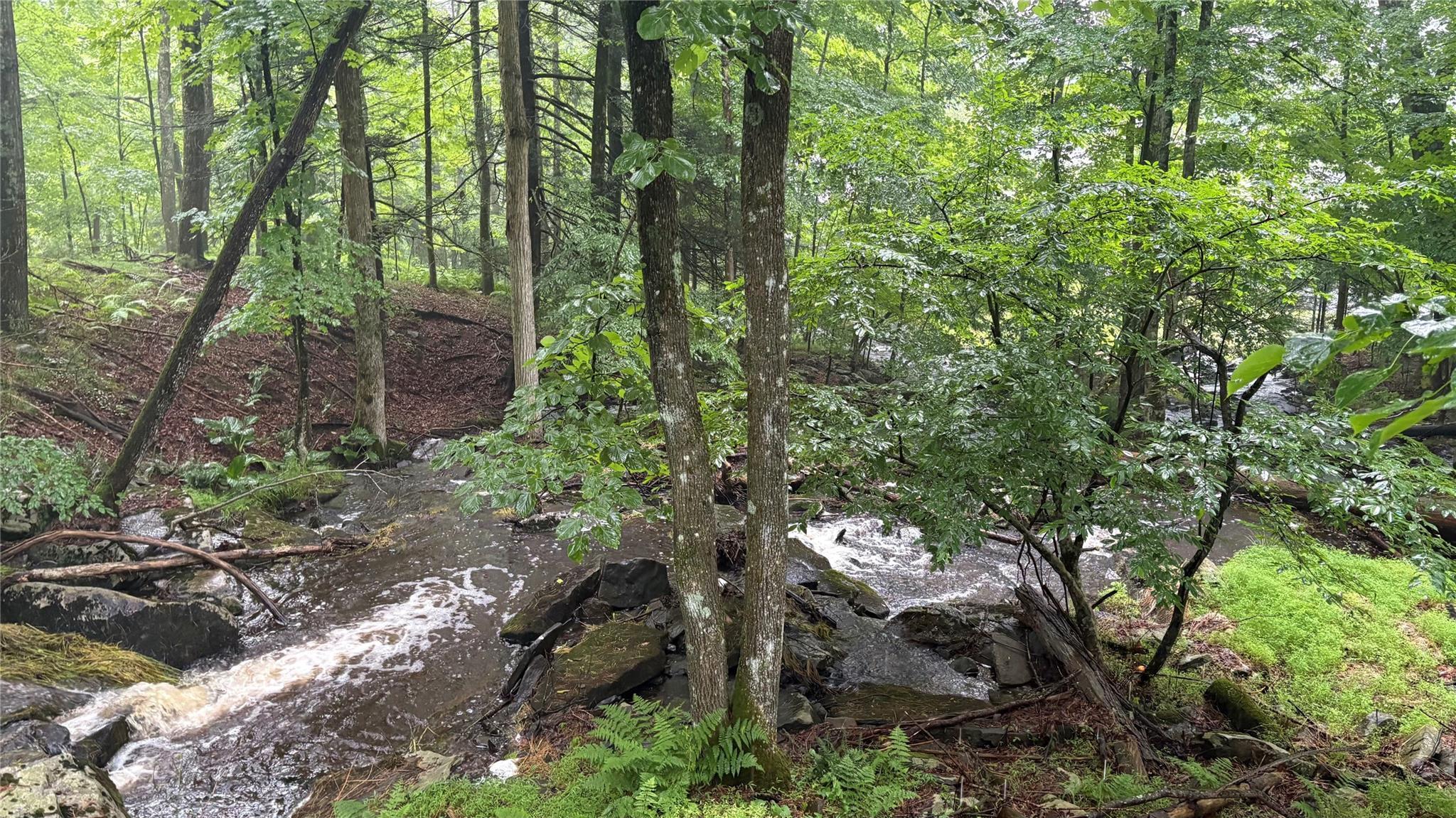 Single Family Airport  Sullivan County, NY 12732, MLS-884428-9