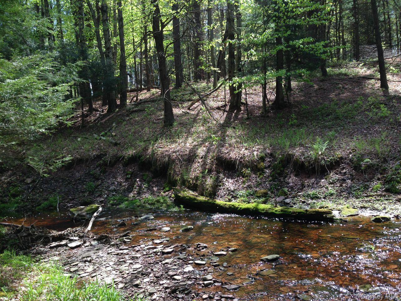 Single Family Shore Sullivan County, NY 12783, MLS-884456-28