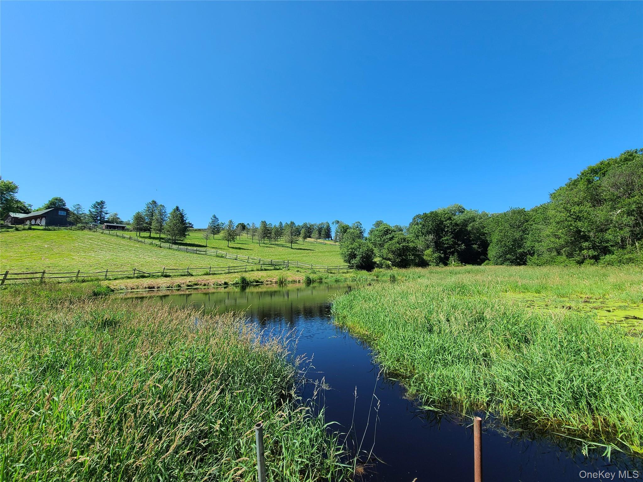 Single Family Shore Sullivan County, NY 12783, MLS-884456-43