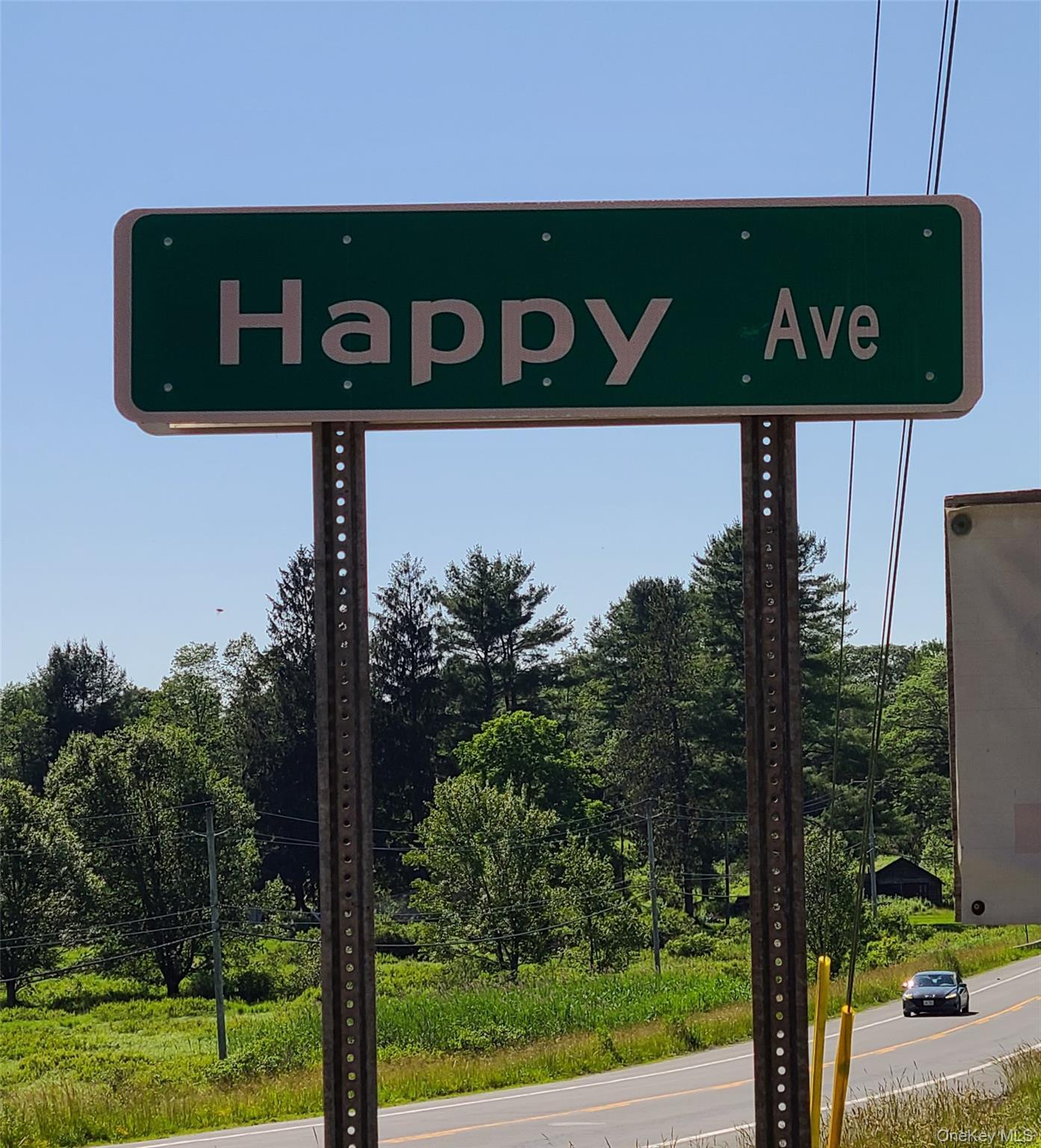 Single Family Shore Sullivan County, NY 12783, MLS-884456-46