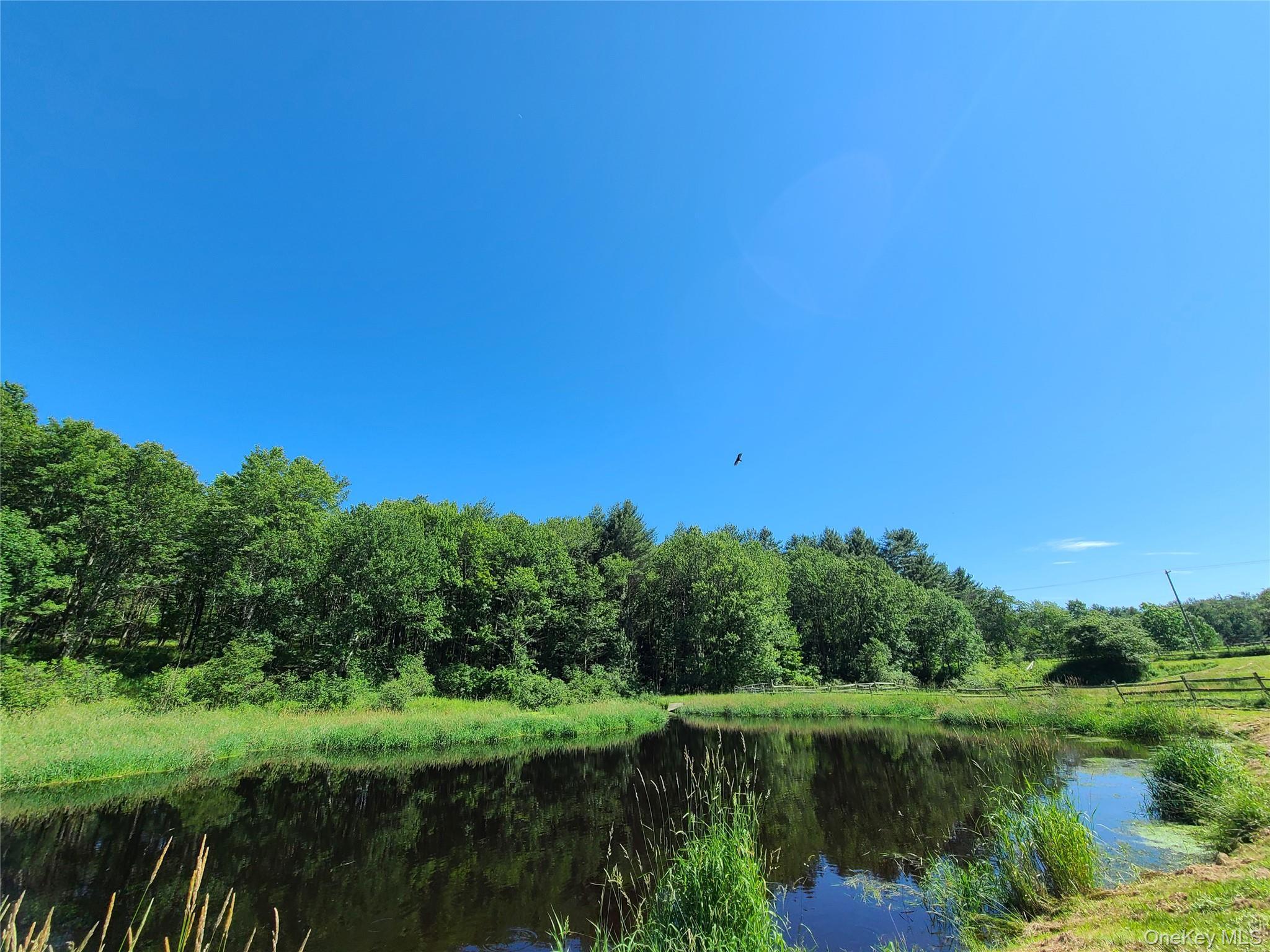 Single Family Shore Sullivan County, NY 12783, MLS-884456-7