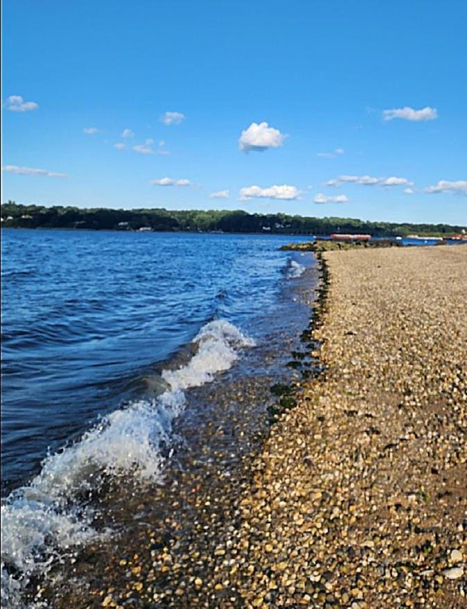 Coop West Shore Road  Nassau County, NY 11050, MLS-884469-33