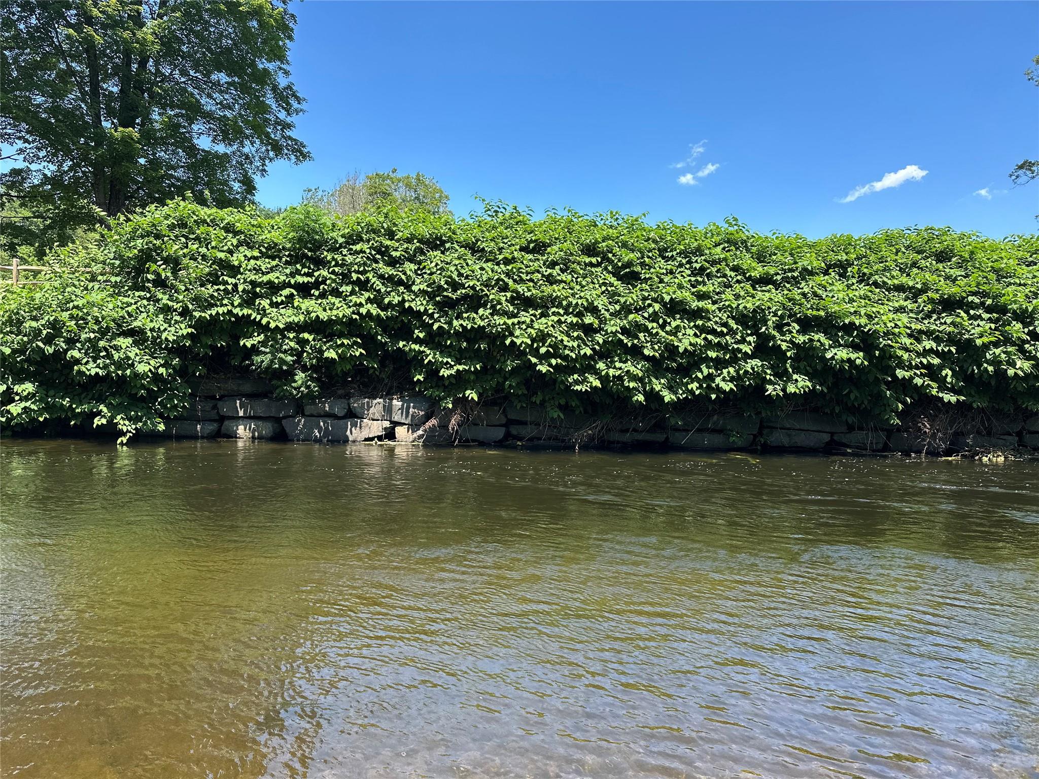 Single Family River  Sullivan County, NY 12758, MLS-884571-9
