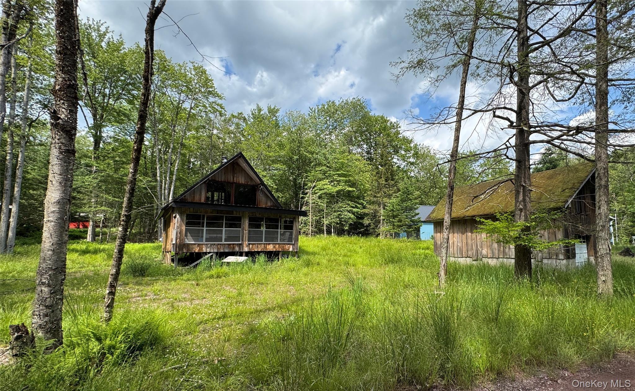 Single Family Forest  Sullivan County, NY 12768, MLS-884604-27