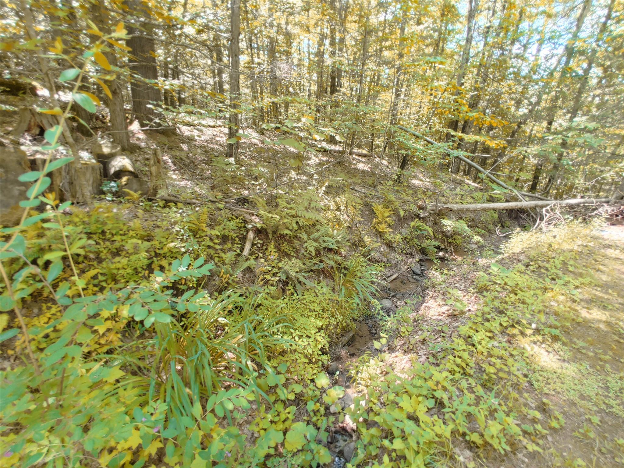 Single Family High  Ulster County, NY 12464, MLS-884747-11