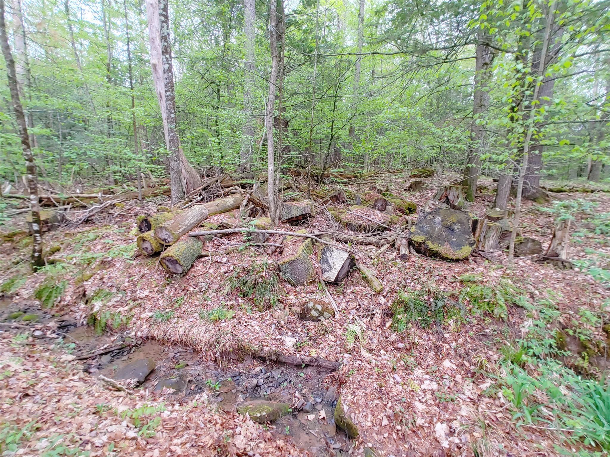 Single Family High  Ulster County, NY 12464, MLS-884747-34